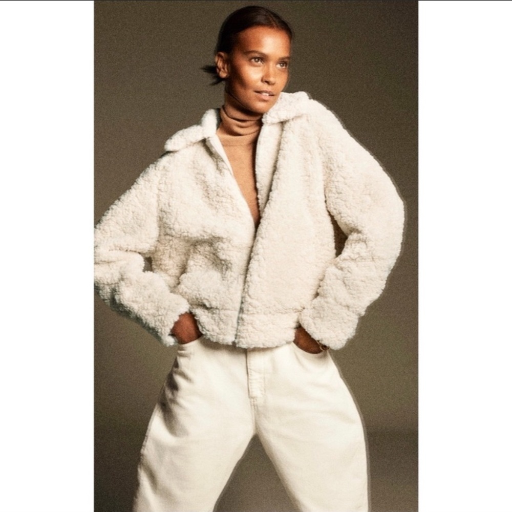 Zara Short Faux Shearling Jacket